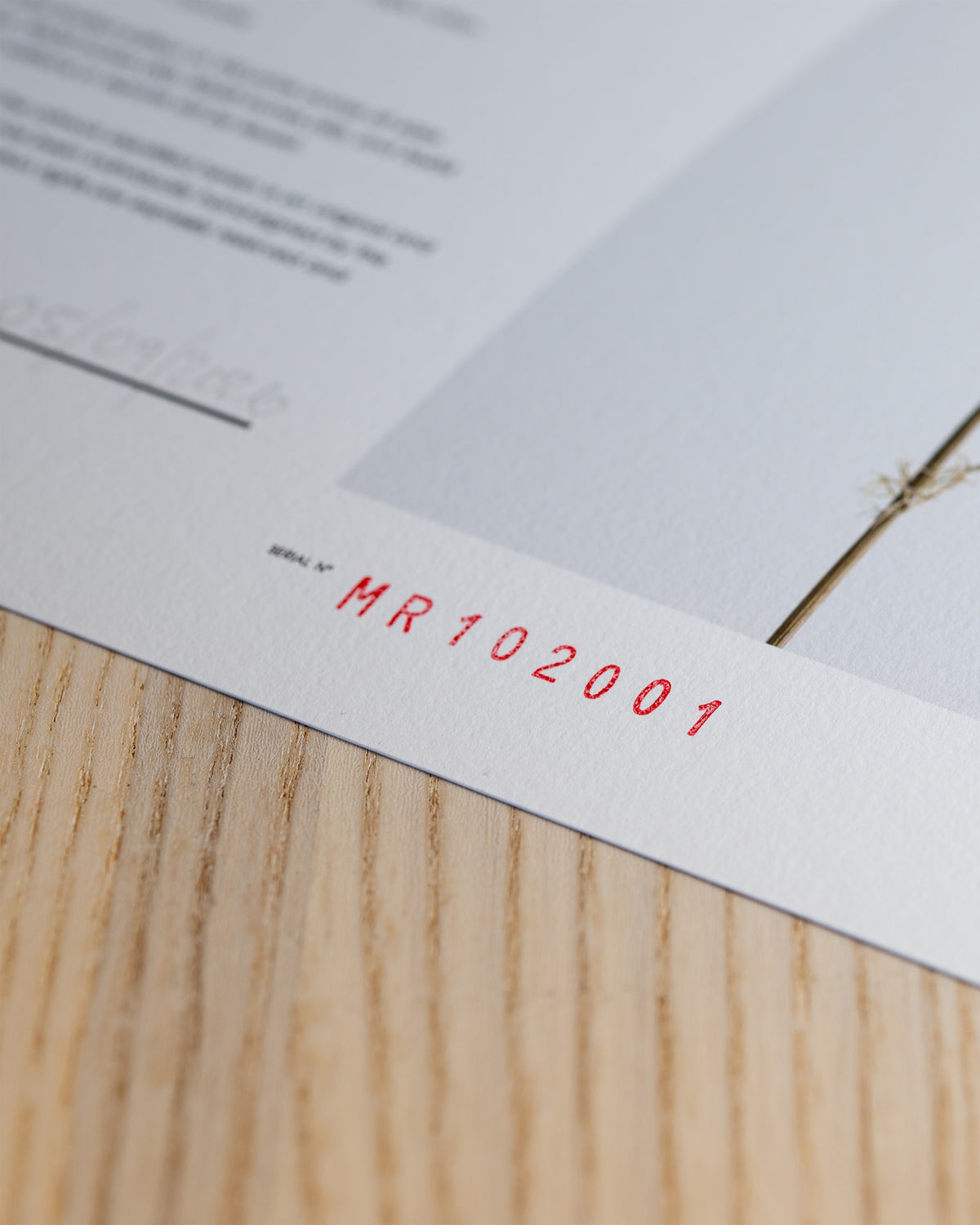 Detail of the artist's inked fingerprint mark on the certificate.