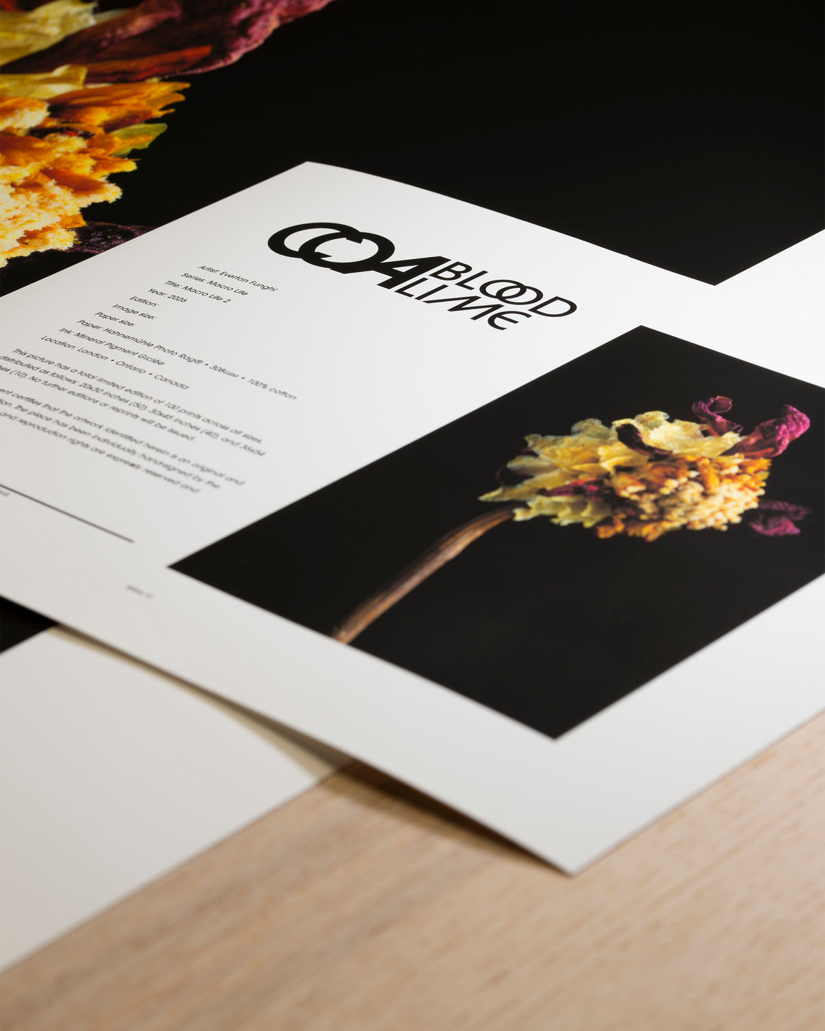 Fine art print and Certificate of Authenticity shown together for illustration, not the specific certificate shipped with every piece.