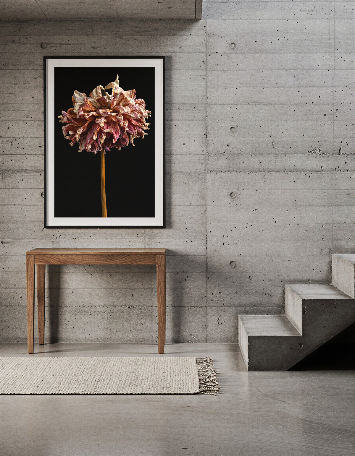 Macro Life 3 fine art print: large dried dahlia, rose and cream petals, black background, shown framed on a wall for illustration. Frame is not included with purchase.