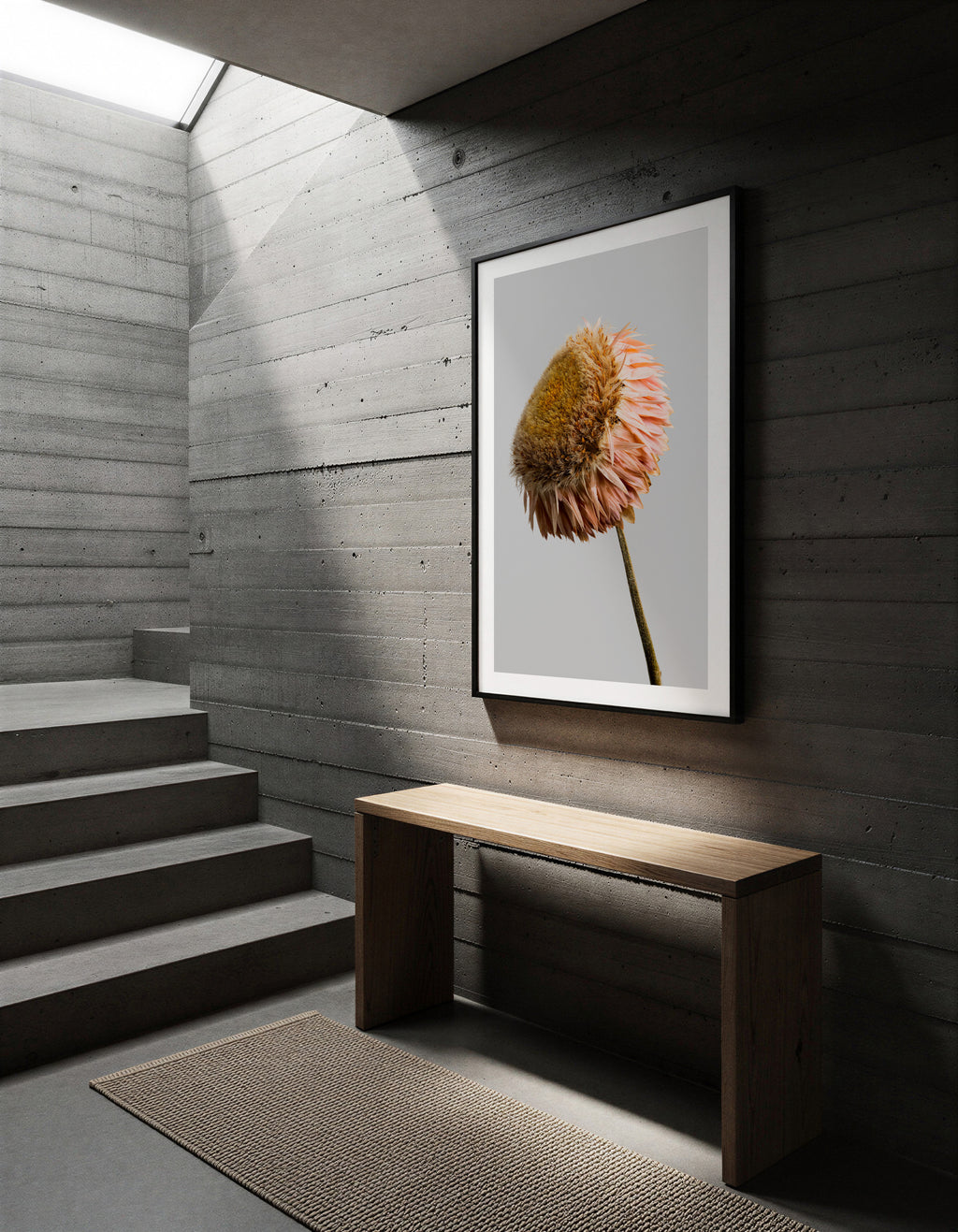 Macro Life 11 fine art print: dried Echinacea cone flower, golden brown centre, blush-pink petals, grey background, shown framed on a wall for illustration. Frame is not included with purchase.