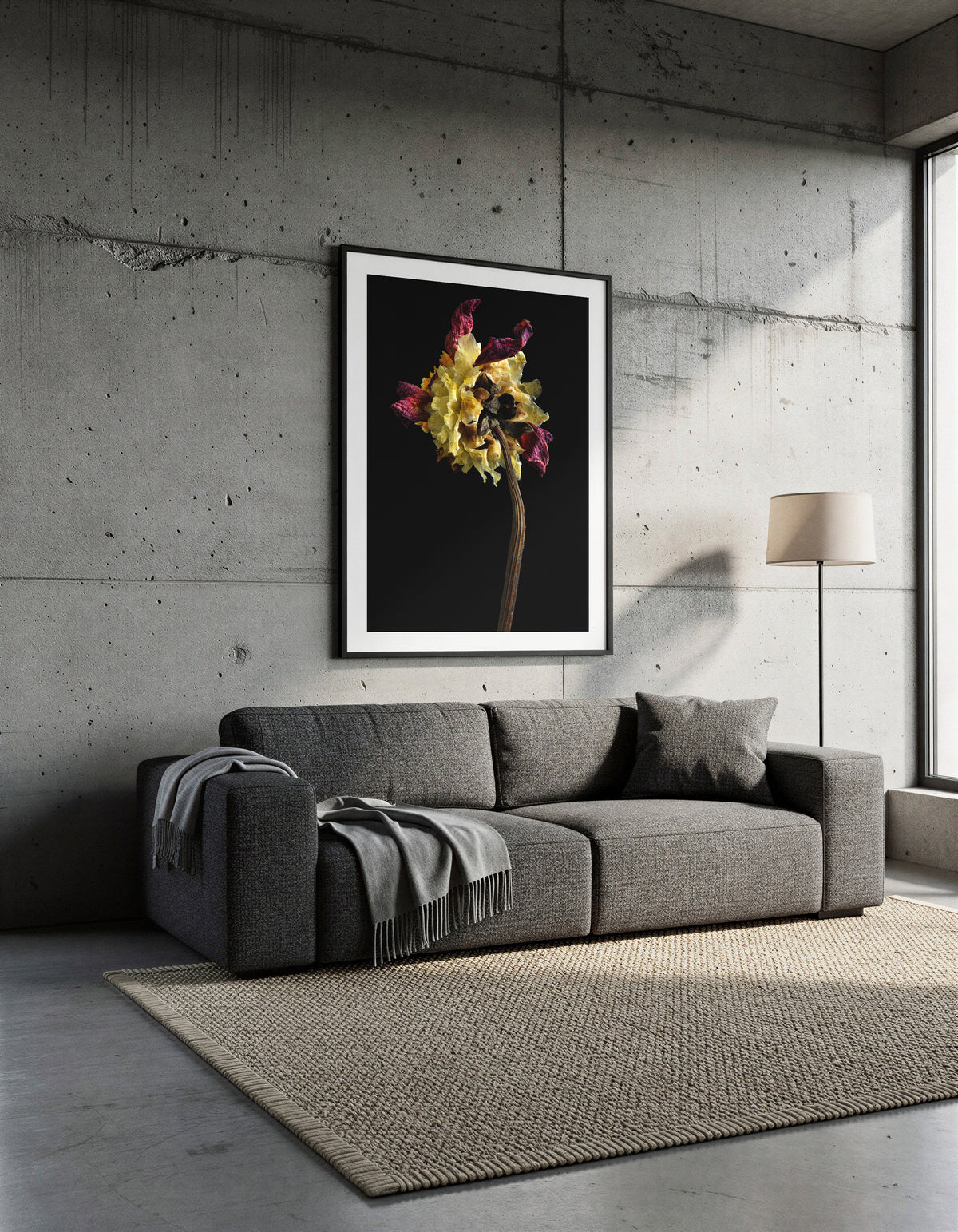 Macro Life 1 fine art print: dried dahlia, deep crimson and cream-yellow petals, black background, shown framed on a wall for illustration. Frame is not included with purchase.