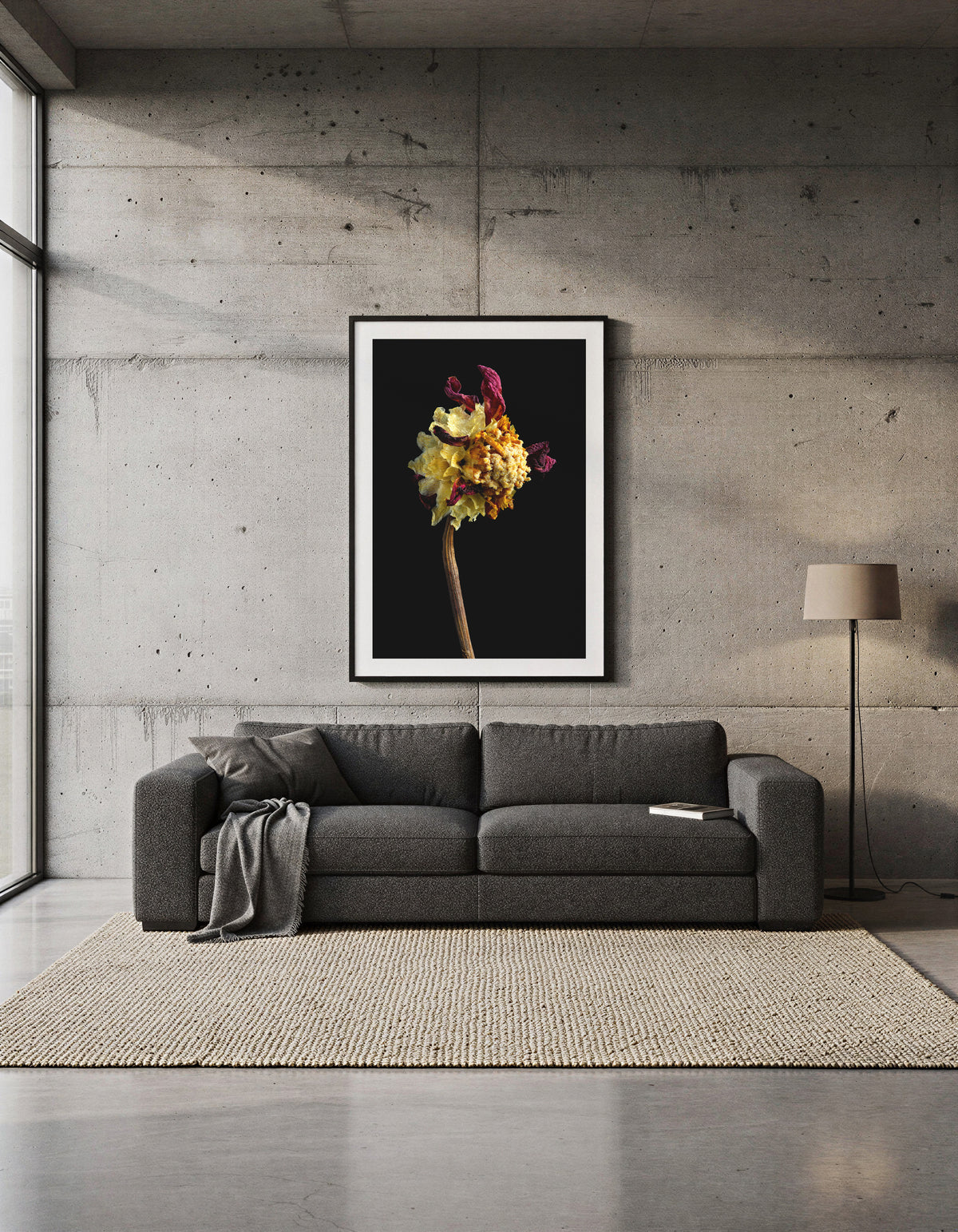 Macro Life 2 fine art print: dried dahlia, exploded mustard-yellow centre and burgundy remaining petals, black background, shown framed on a wall for illustration. Frame is not included with purchase.