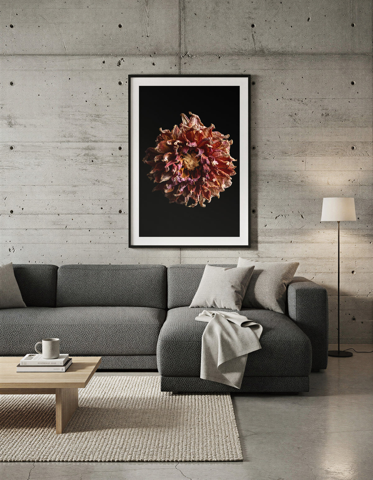 Macro Life 4 fine art print: dried dahlia, burgundy, purple and cream tones, black background, shown framed on a wall for illustration. Frame is not included with purchase.