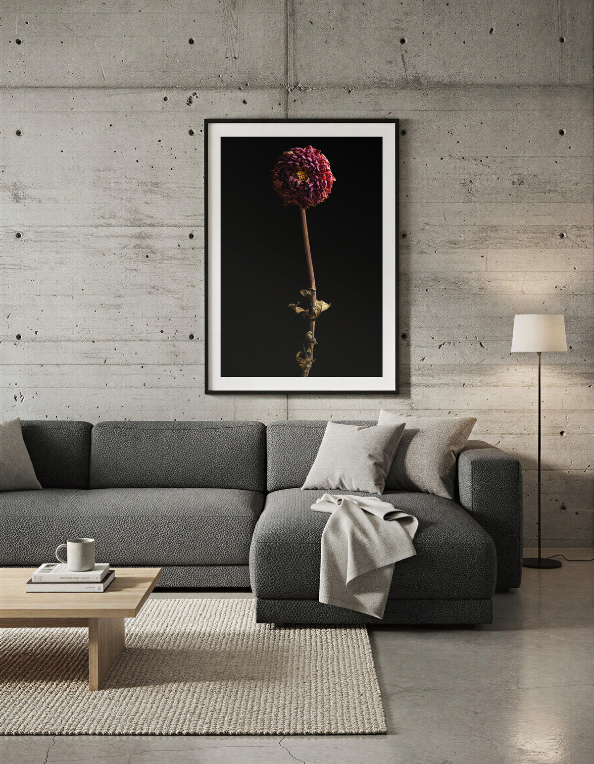 Macro Life 8 fine art print: small dried dahlia, deep raspberry, black background, shown framed on a wall for illustration. Frame is not included with purchase.