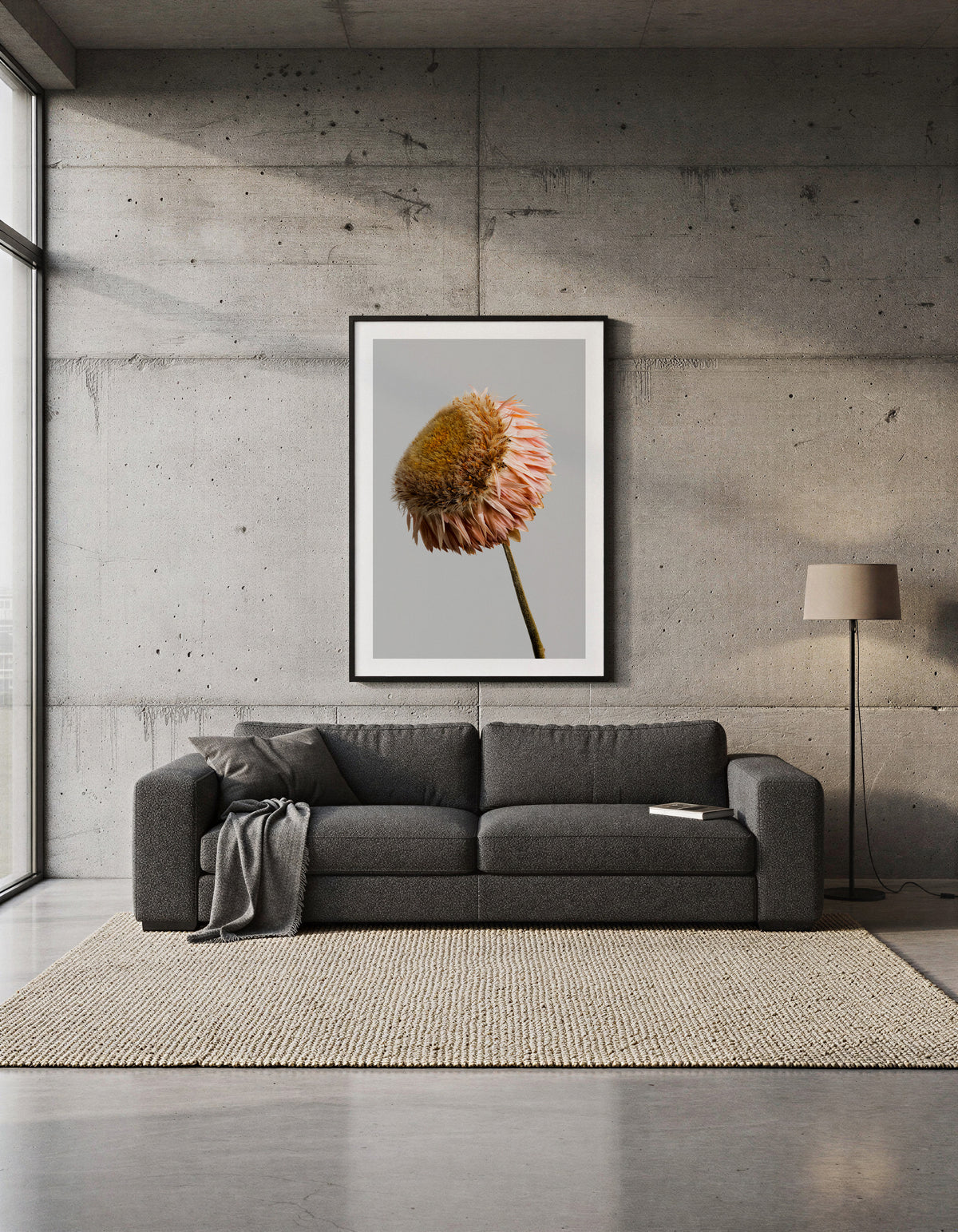 Macro Life 11 fine art print: dried Echinacea cone flower, golden brown centre, blush-pink petals, grey background, shown framed on a wall for illustration. Frame is not included with purchase.
