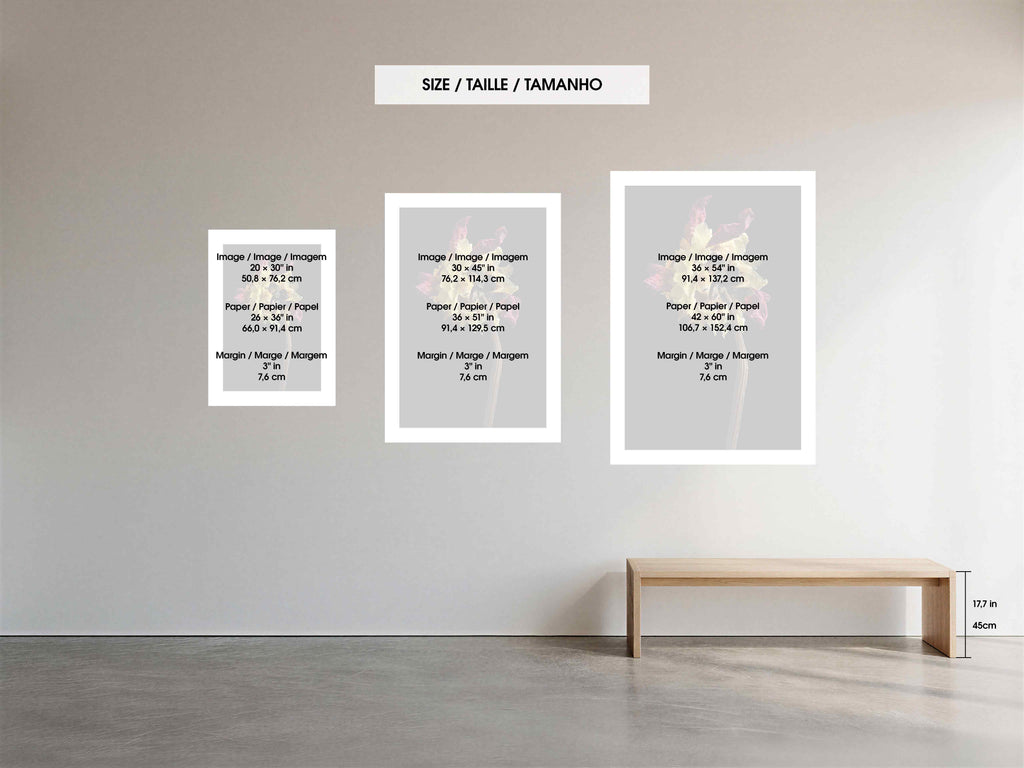 Size guide comparing the three available Macro Life print and paper sizes.