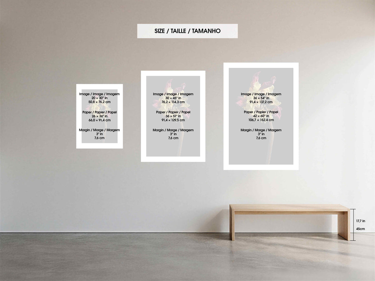 Size guide comparing the three available Macro Life print and paper sizes.